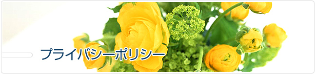 プライバシーポリシー